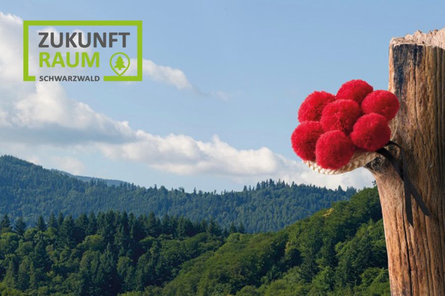 ZRS VA | Schwarzwald Bollenhut