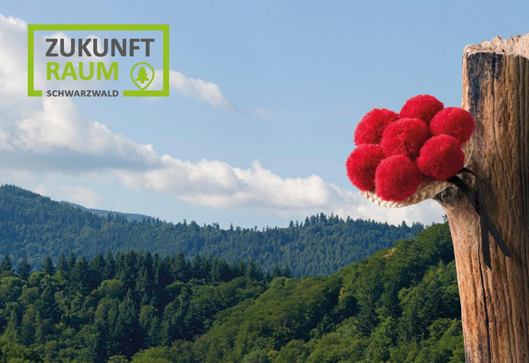 ZRS VA | Schwarzwald Bollenhut